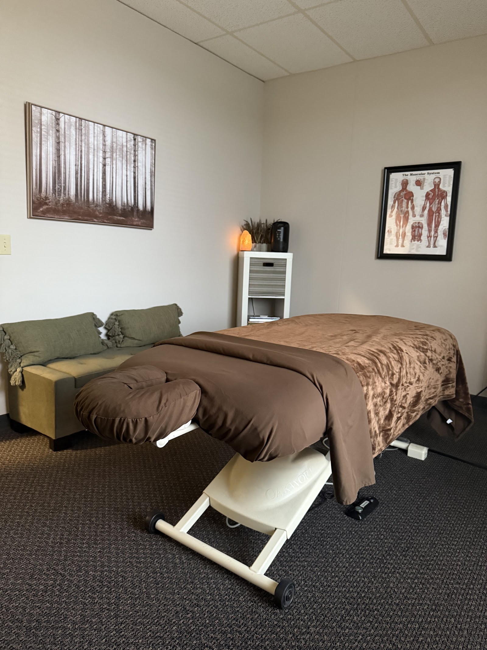 231 Therapeutic Massage & Laser Therapy in Traverse City