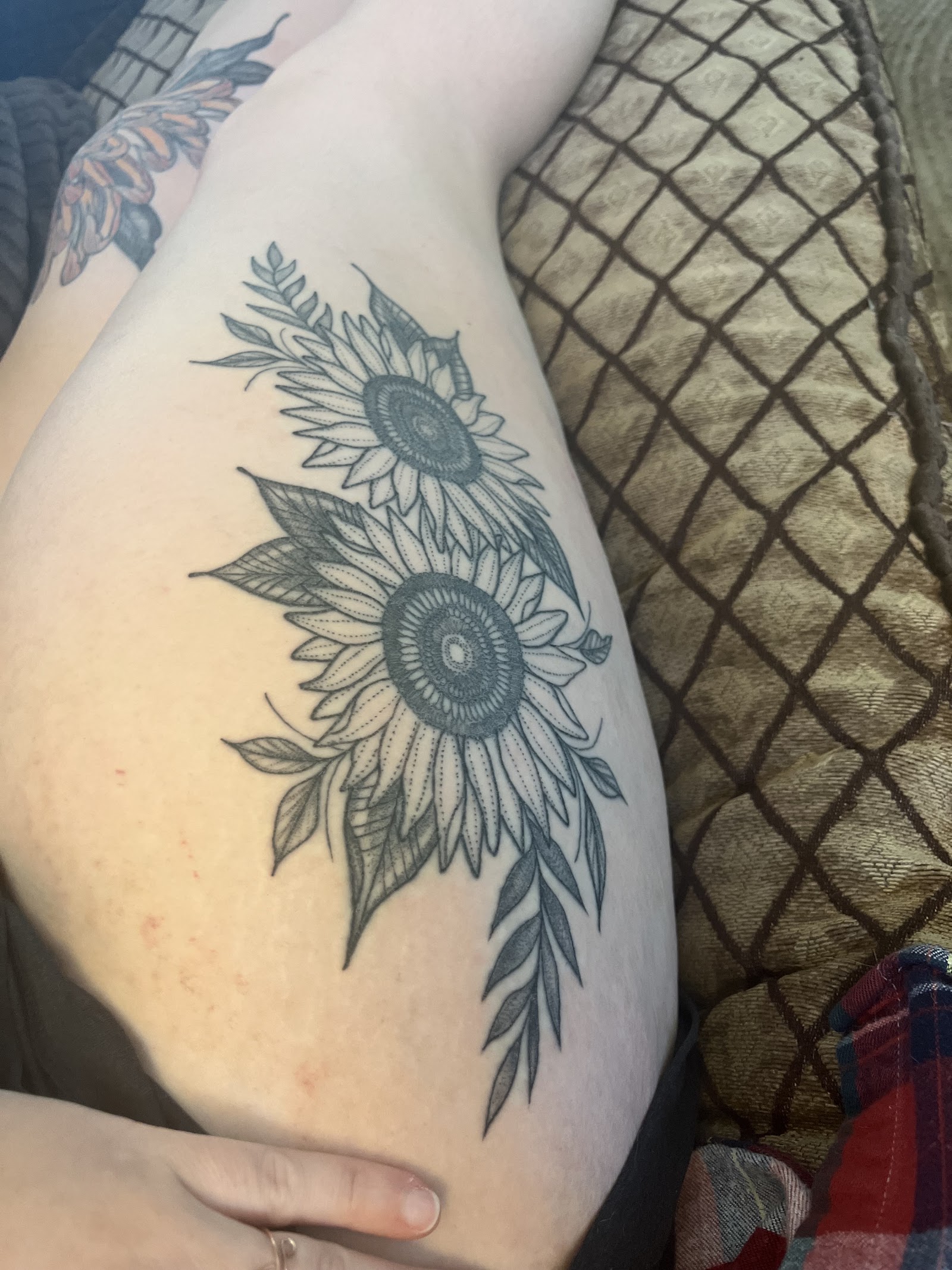 Alchimia Tattoo — photo