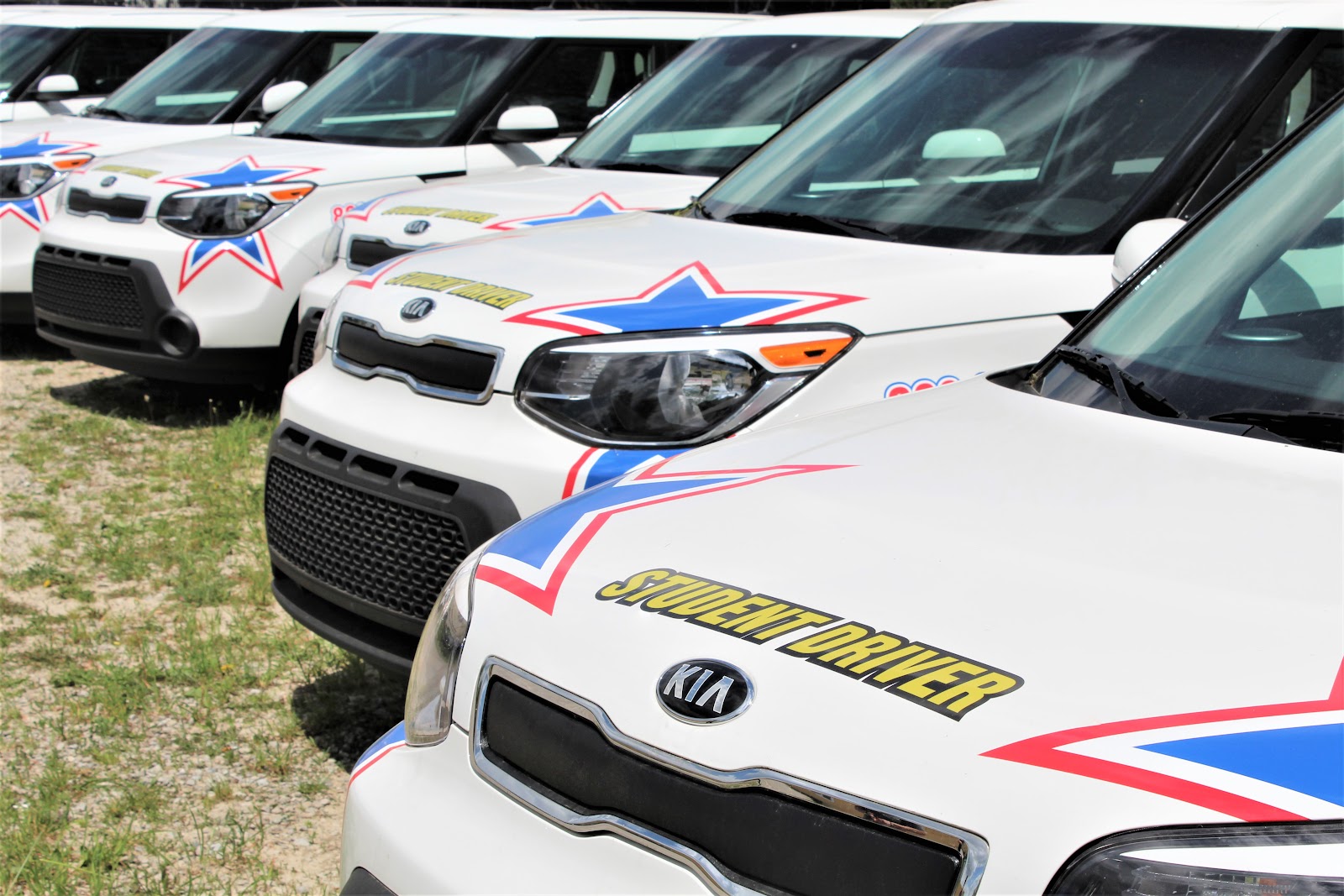All Star Driver Education - St. Francis High School — photo