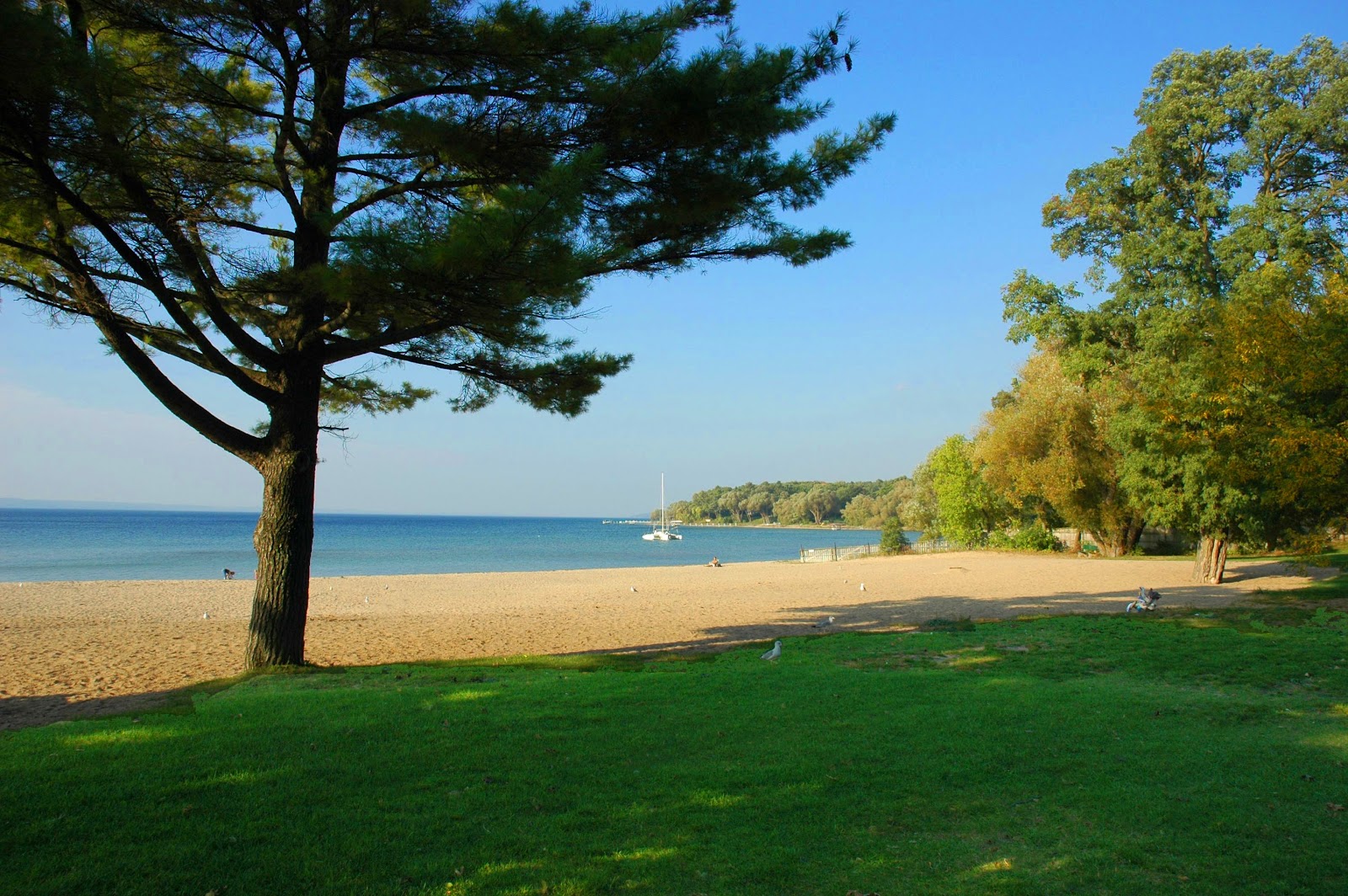 Bryant Park in Traverse City