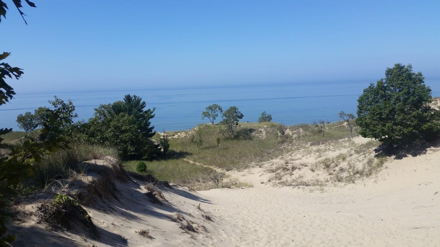 Holly Donaldson, D.C. in Traverse City