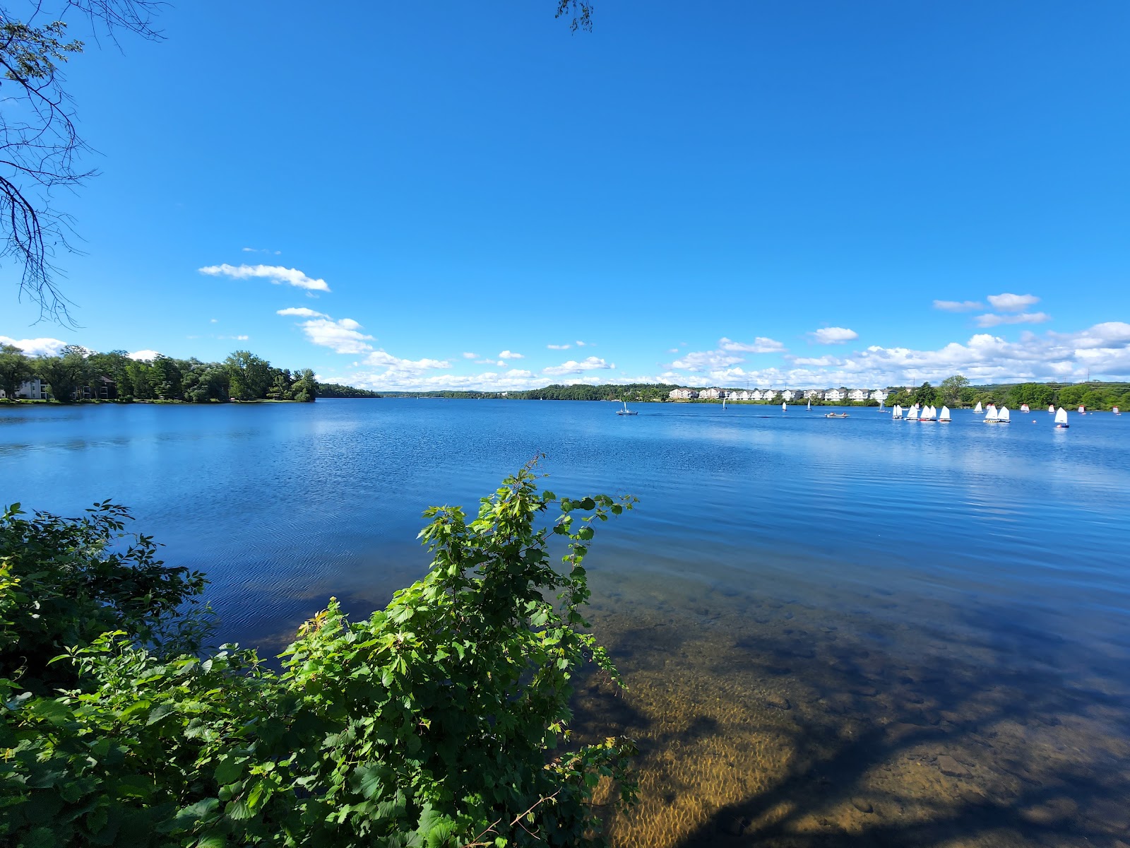 Hull Park in Traverse City