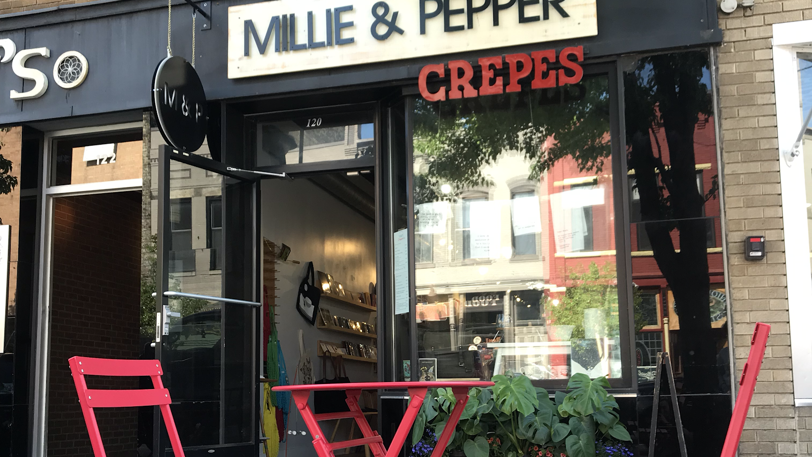 Millie and Pepper in Traverse City