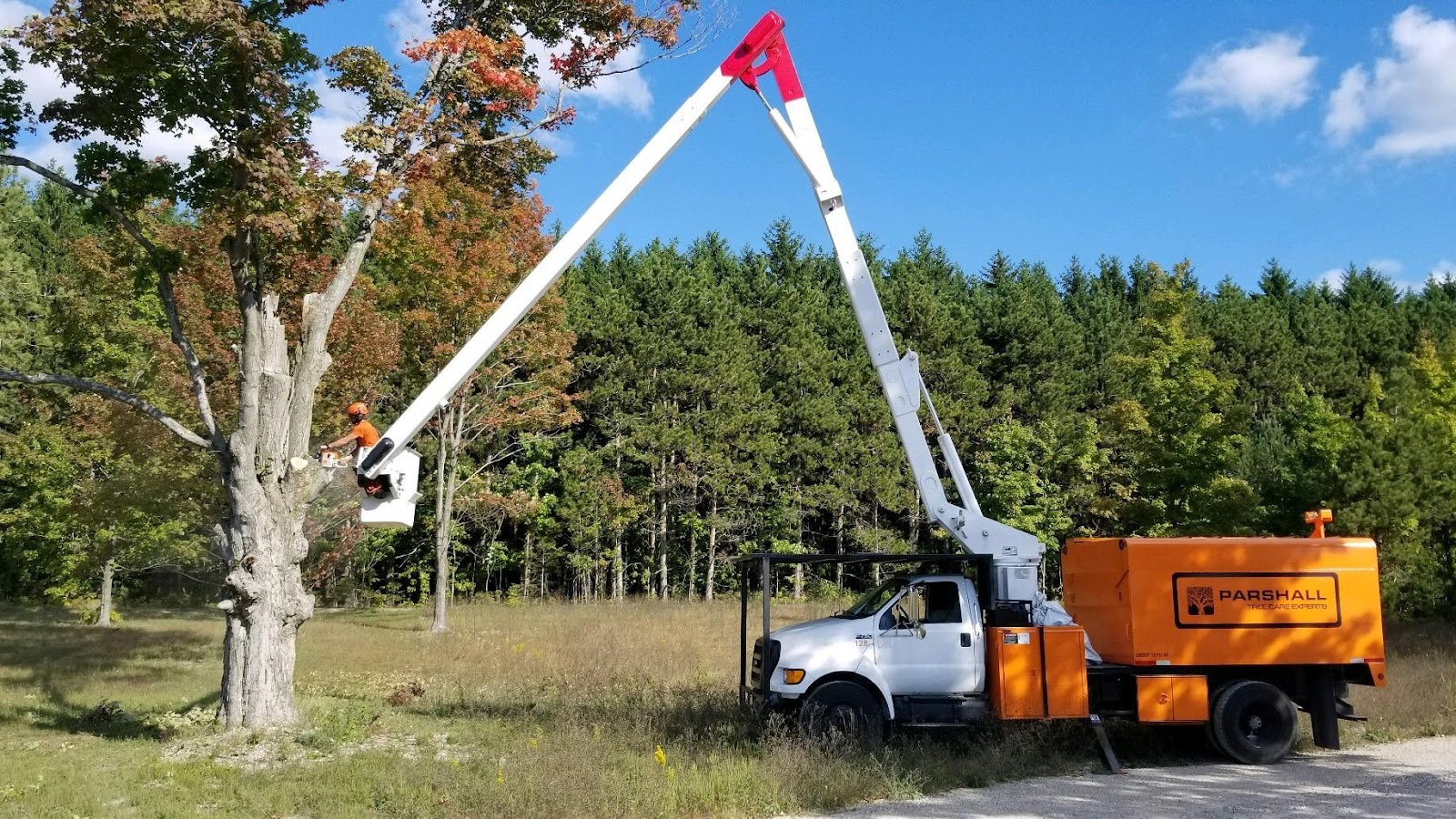 Parshall Tree Care Experts — photo