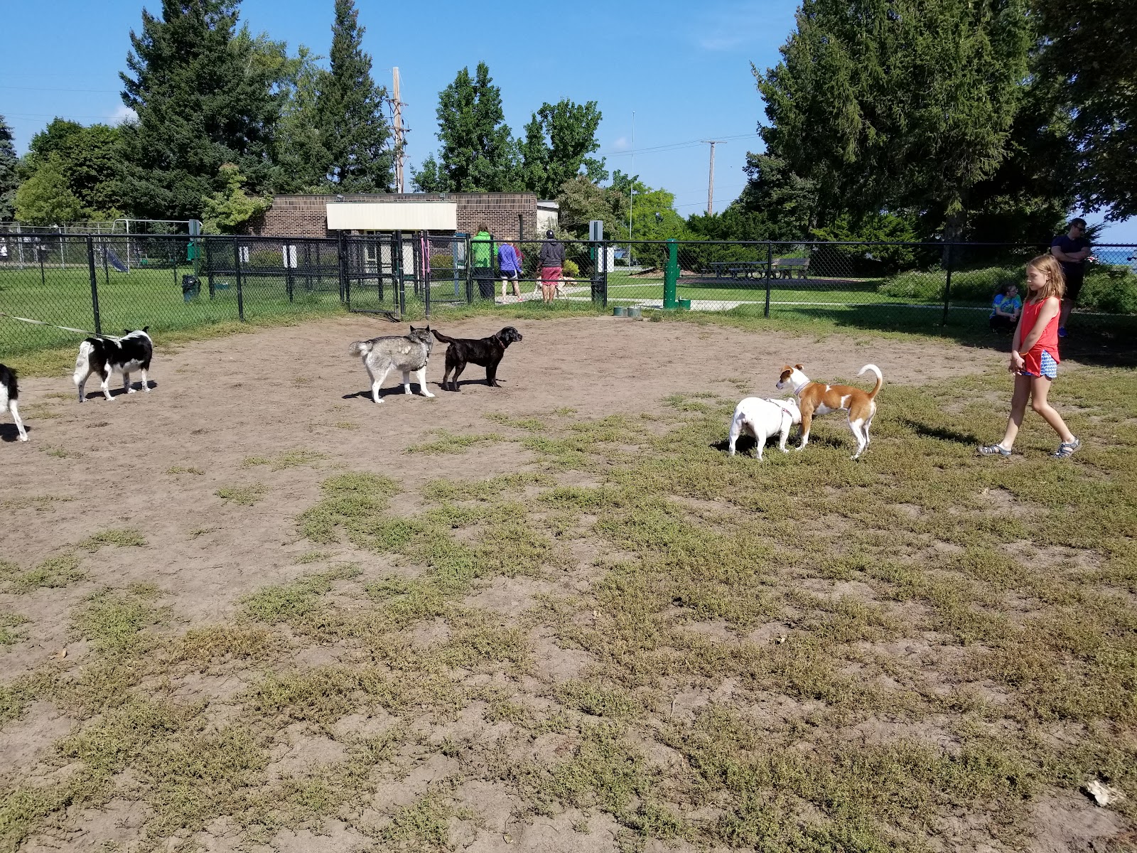 Wags West Dog Park in